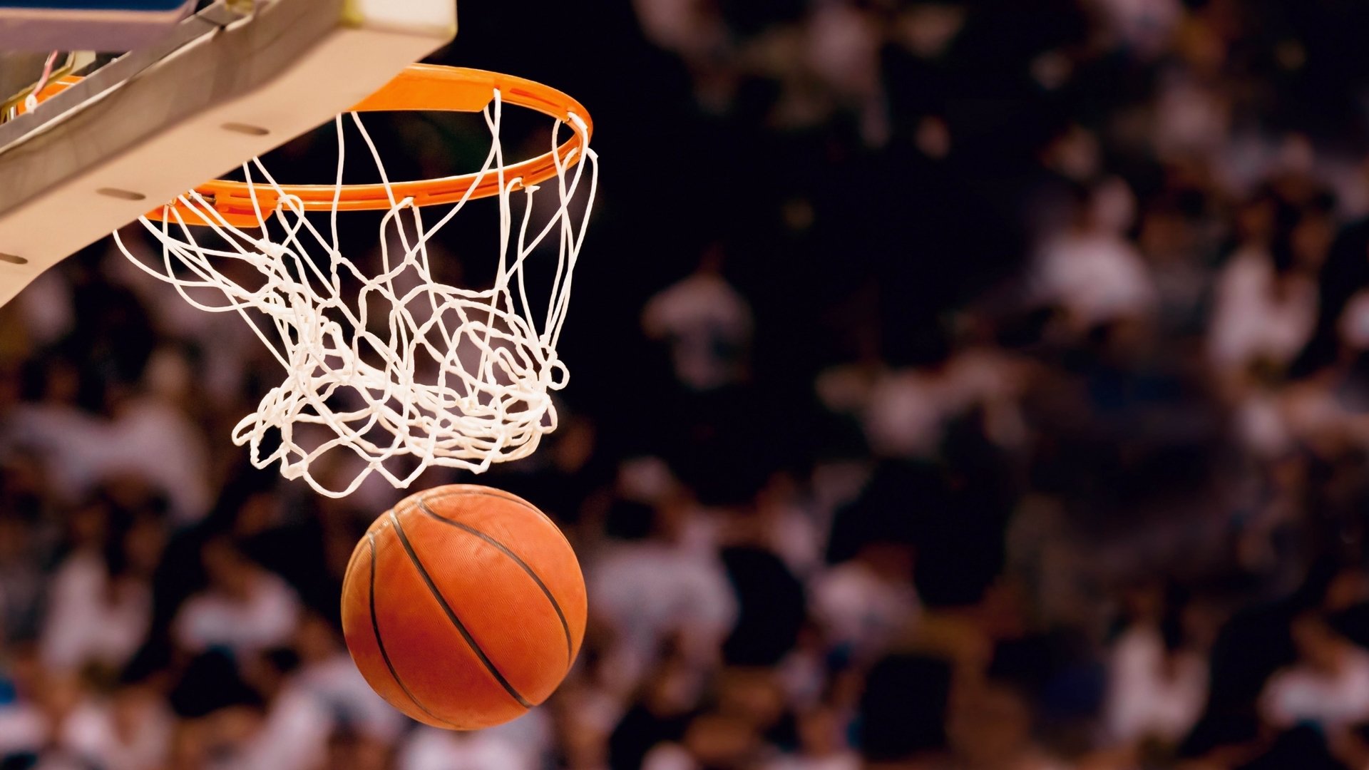 NBA弃将≠CBA killer，错位幻想背后的CBA引援困局